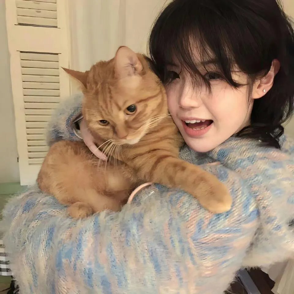 名侦探柯南 零的日常